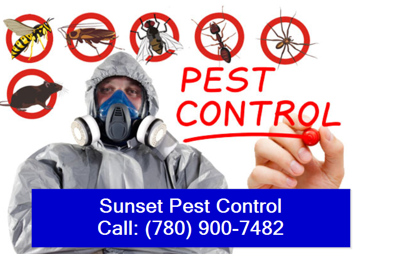 About Sunset Pest Control Leduc