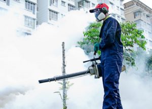 Residential Pest Guy